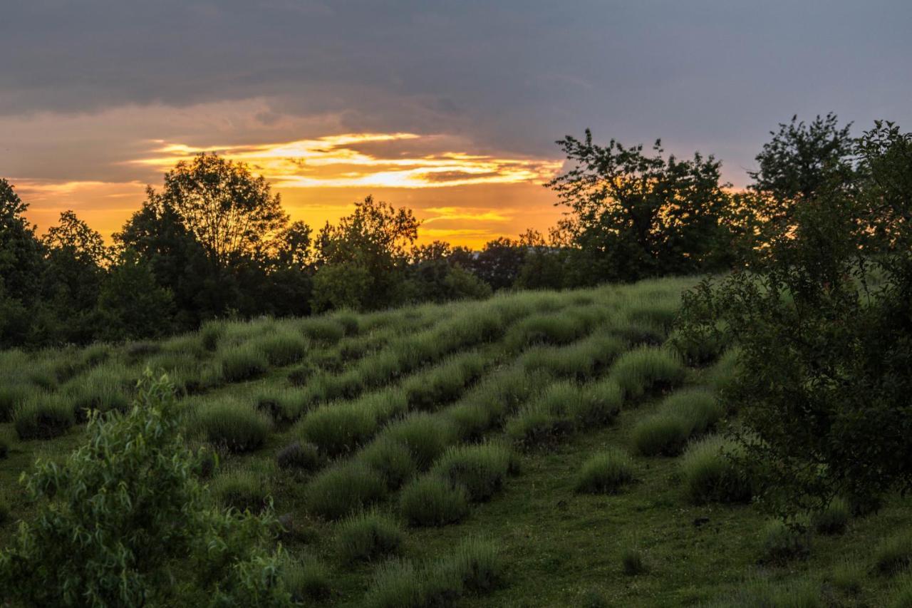 Lavanda Farm Apartmani Раковица Экстерьер фото