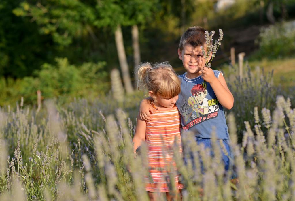 Lavanda Farm Apartmani Раковица Экстерьер фото