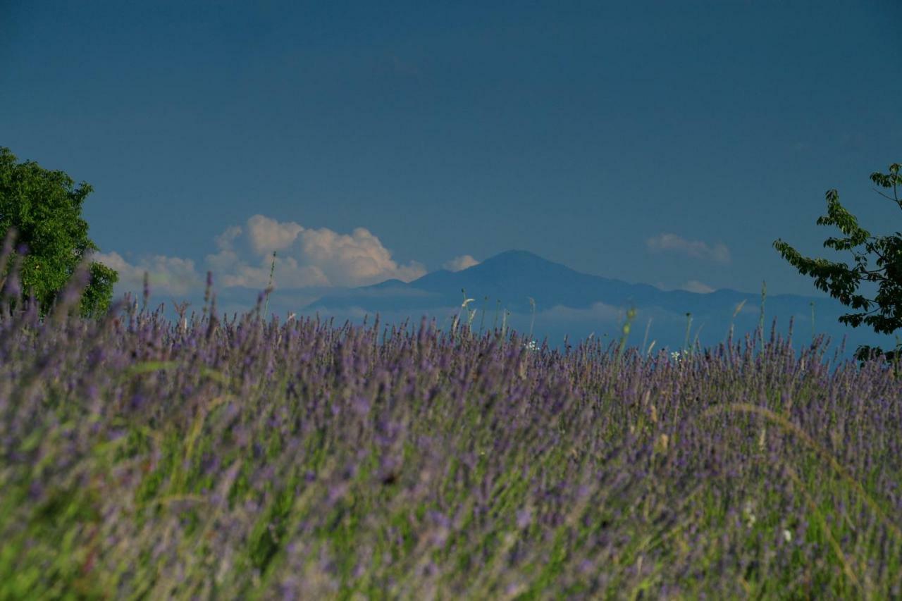 Lavanda Farm Apartmani Раковица Экстерьер фото